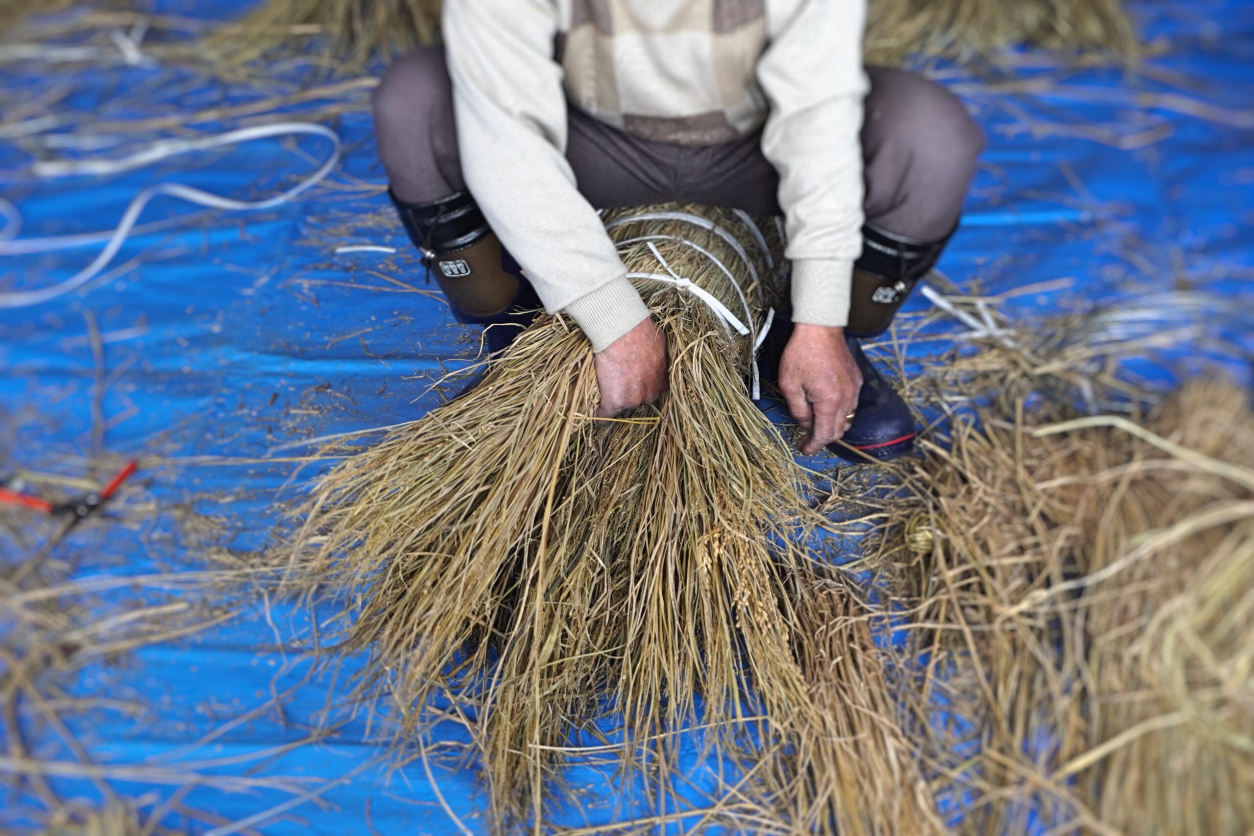 古民具　縄製　背負子　ねこだ　山仕事　山菜採り 2025年最新Yahoo!オークション -古民具背負子の中古品・新品・未使用